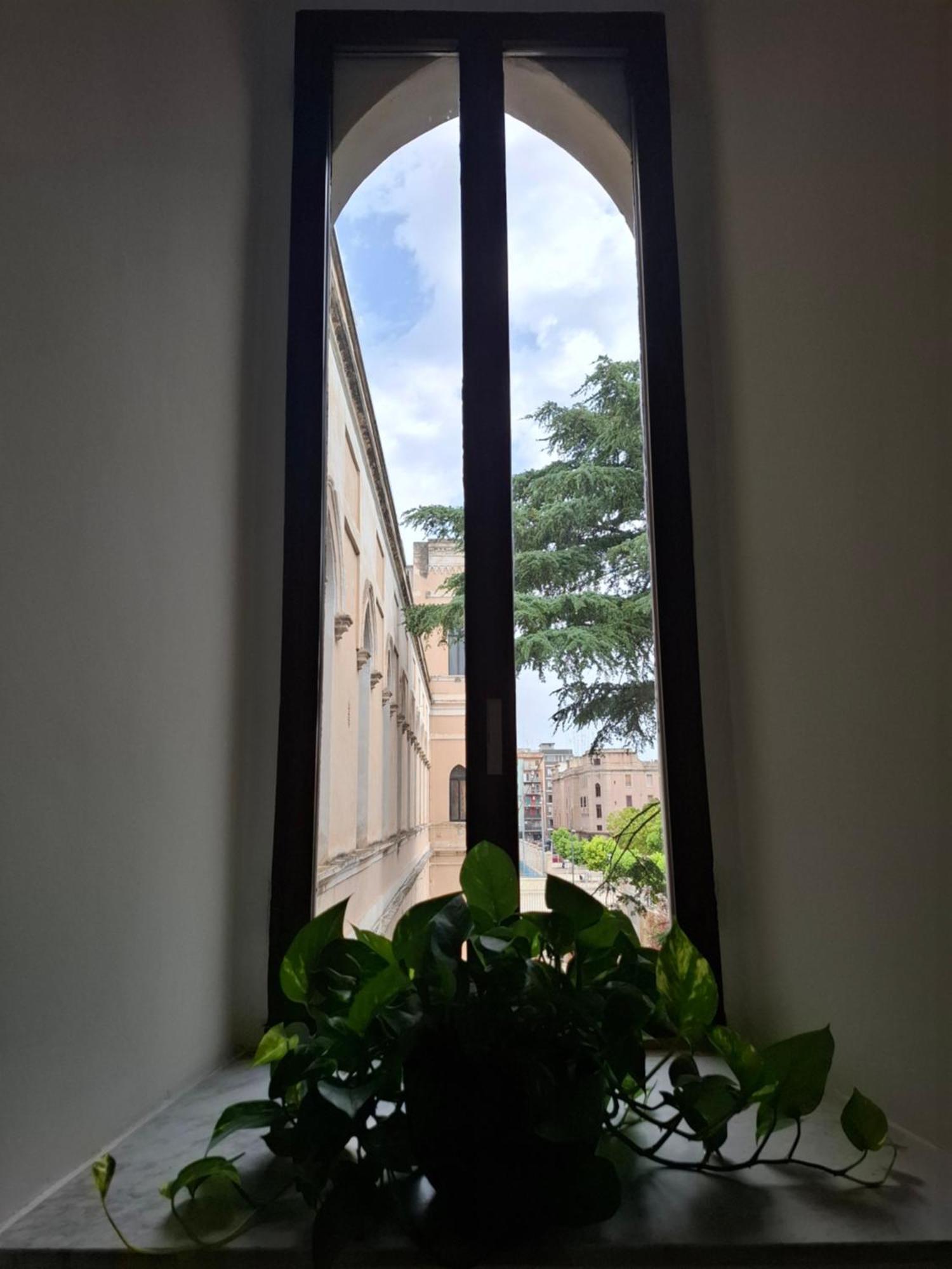 Bed and Breakfast Lupi E Agnelli Bari Exteriér fotografie